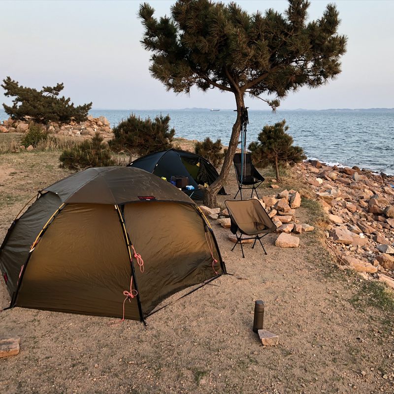 Two tents and folding chairs pitched on a stony shore beside a pine tree at dusk